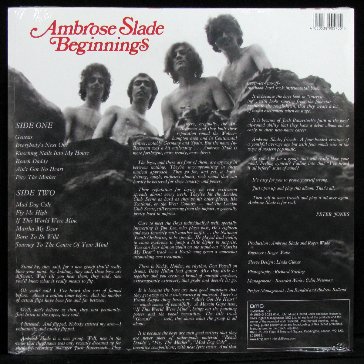 LP Ambrose Slade — Beginnings (цветной винил) фото 2