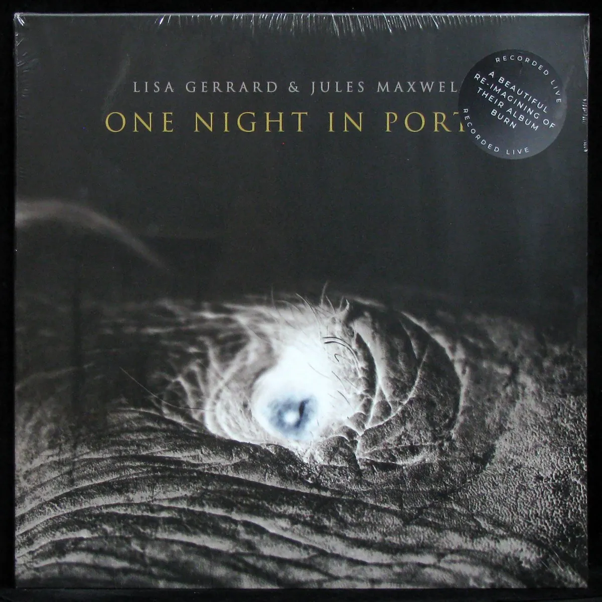 LP Lisa Gerrard — One Night In Porto (цветной винил) фото