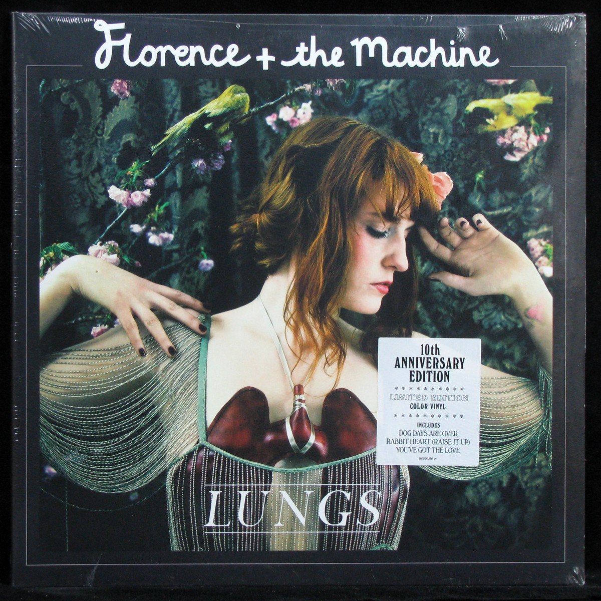 LP Florence + The Machine — Lungs (coloured vinyl) фото
