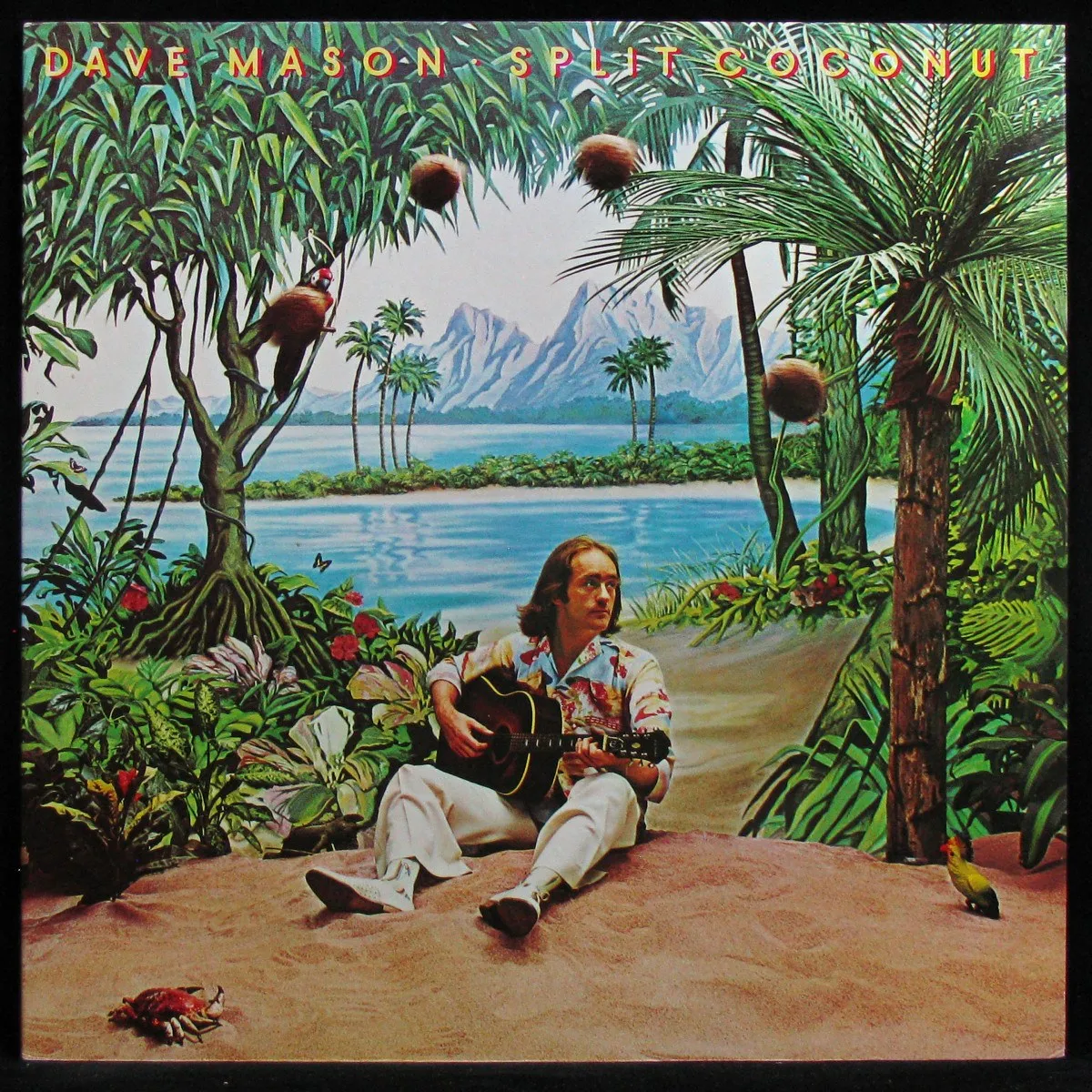 LP Dave Mason — Split Coconut фото