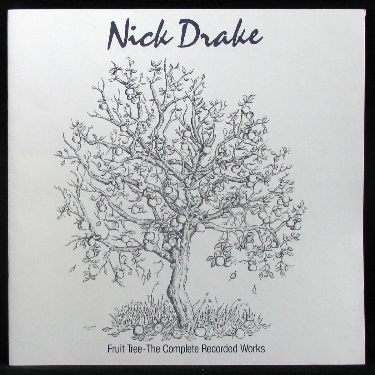 LP Nick Drake — Fruit Tree - The Complete Recorded Works (2LP Box, + буклет) фото 3