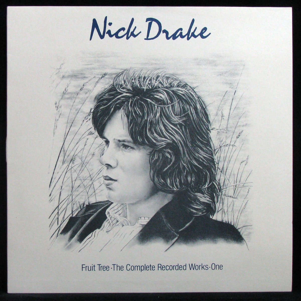 LP Nick Drake — Fruit Tree - The Complete Recorded Works (2LP Box, + booklet) фото 4