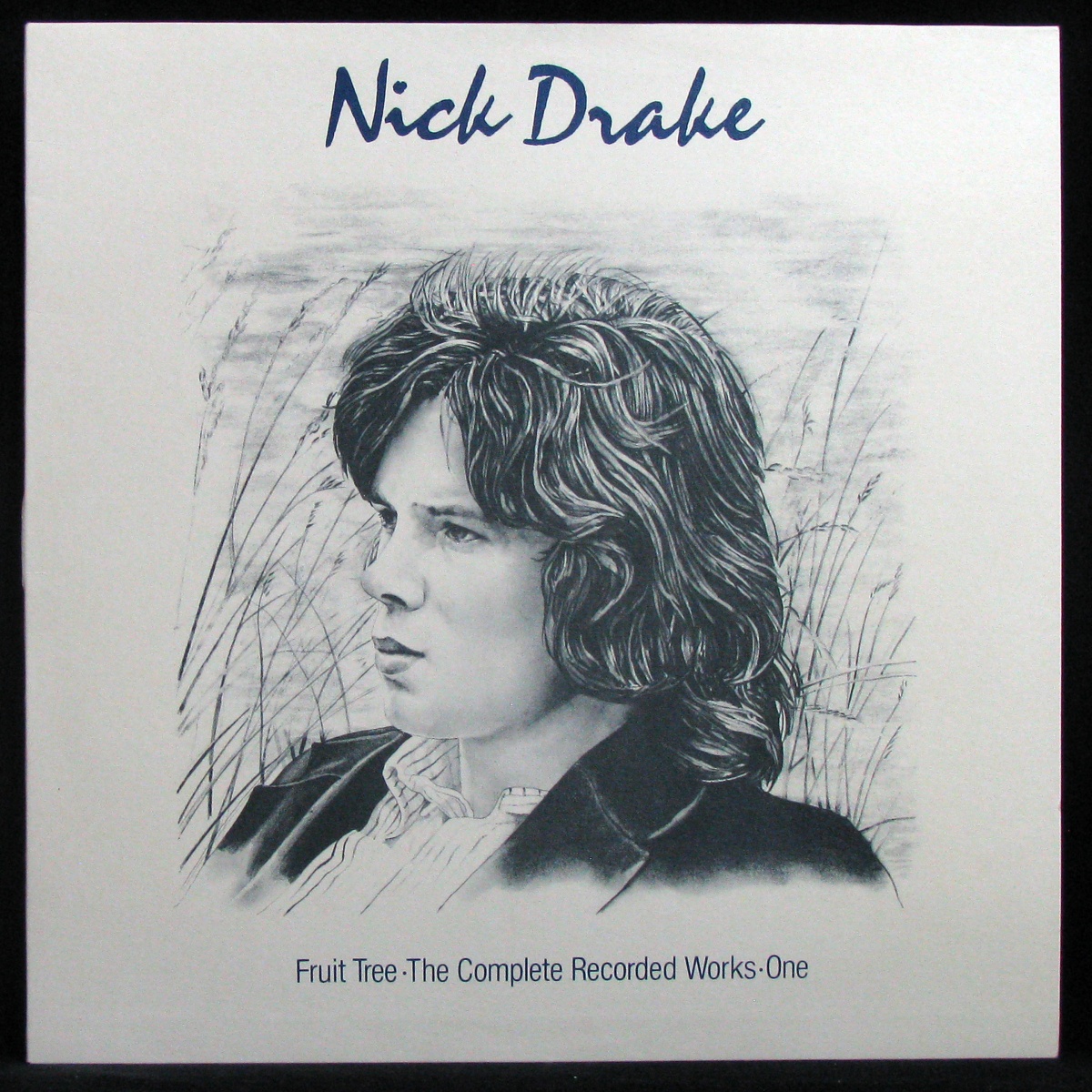 LP Nick Drake — Fruit Tree - The Complete Recorded Works (2LP Box, + буклет) фото 4