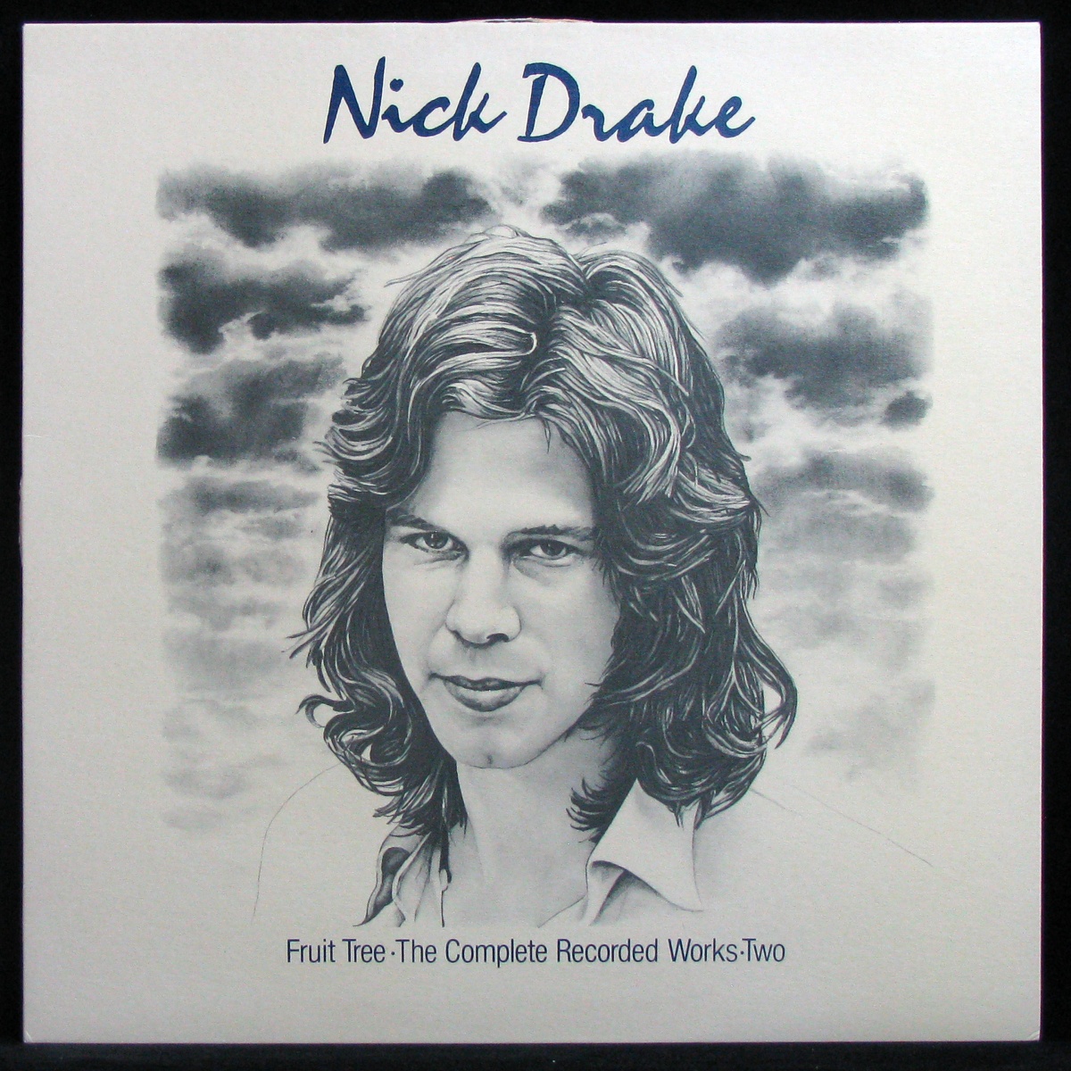 LP Nick Drake — Fruit Tree - The Complete Recorded Works (2LP Box, + буклет) фото 5