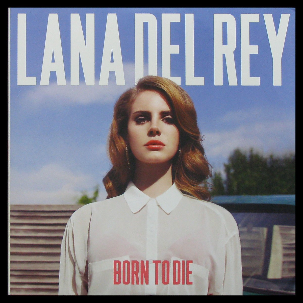 LP Lana Del Rey — Born To Die (2LP) фото