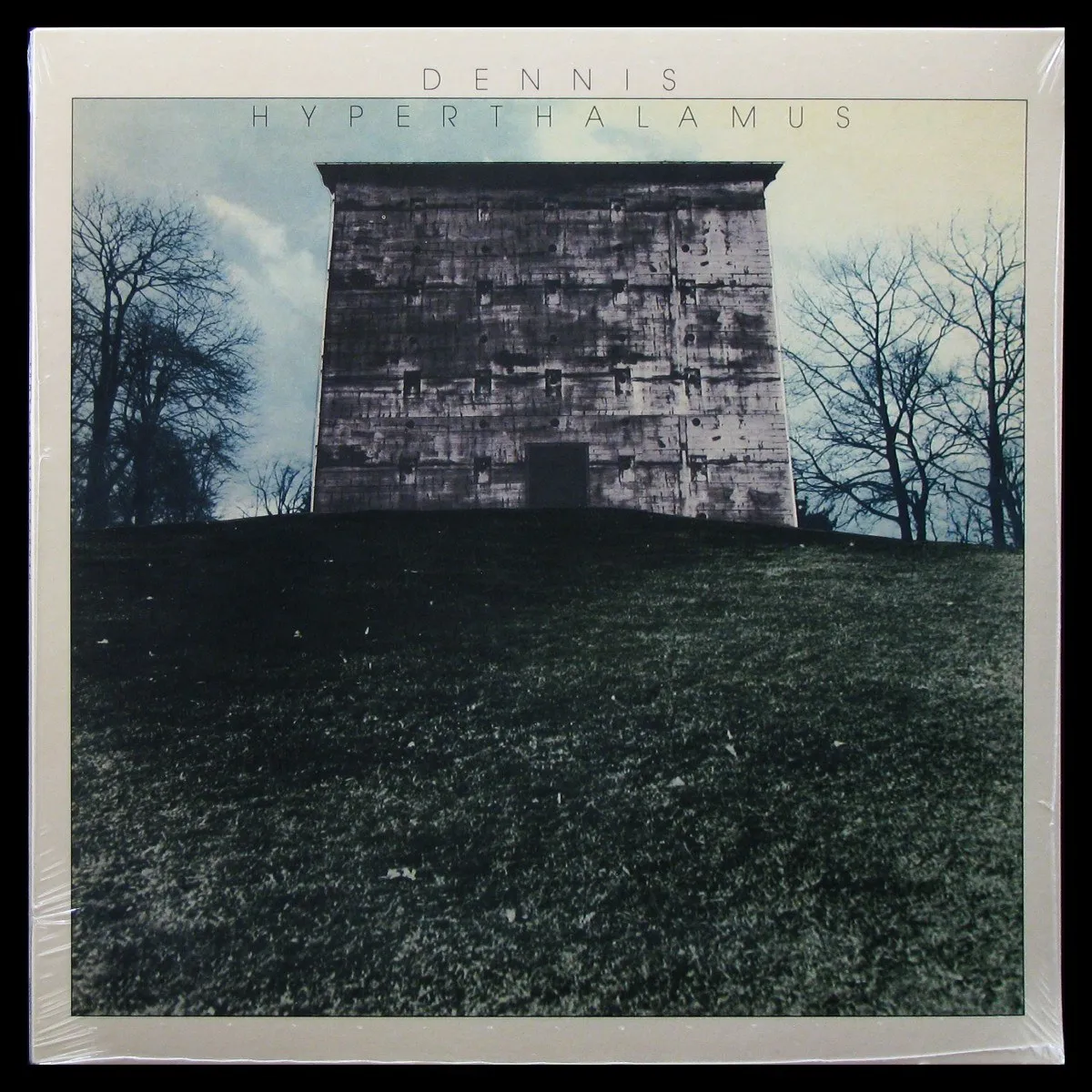 LP Dennis — Hyperthalamus фото