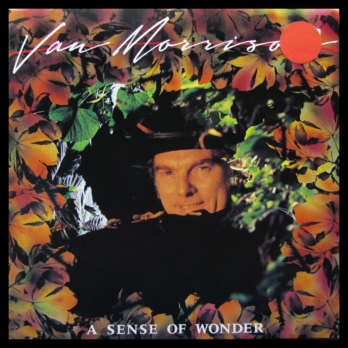 LP Van Morrison — Sense of Wonder фото