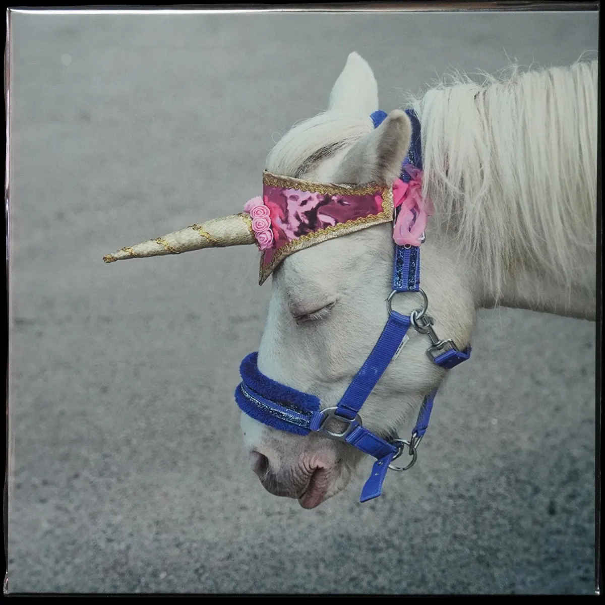 LP Сироткин — Суперслабость (цветной винил) фото