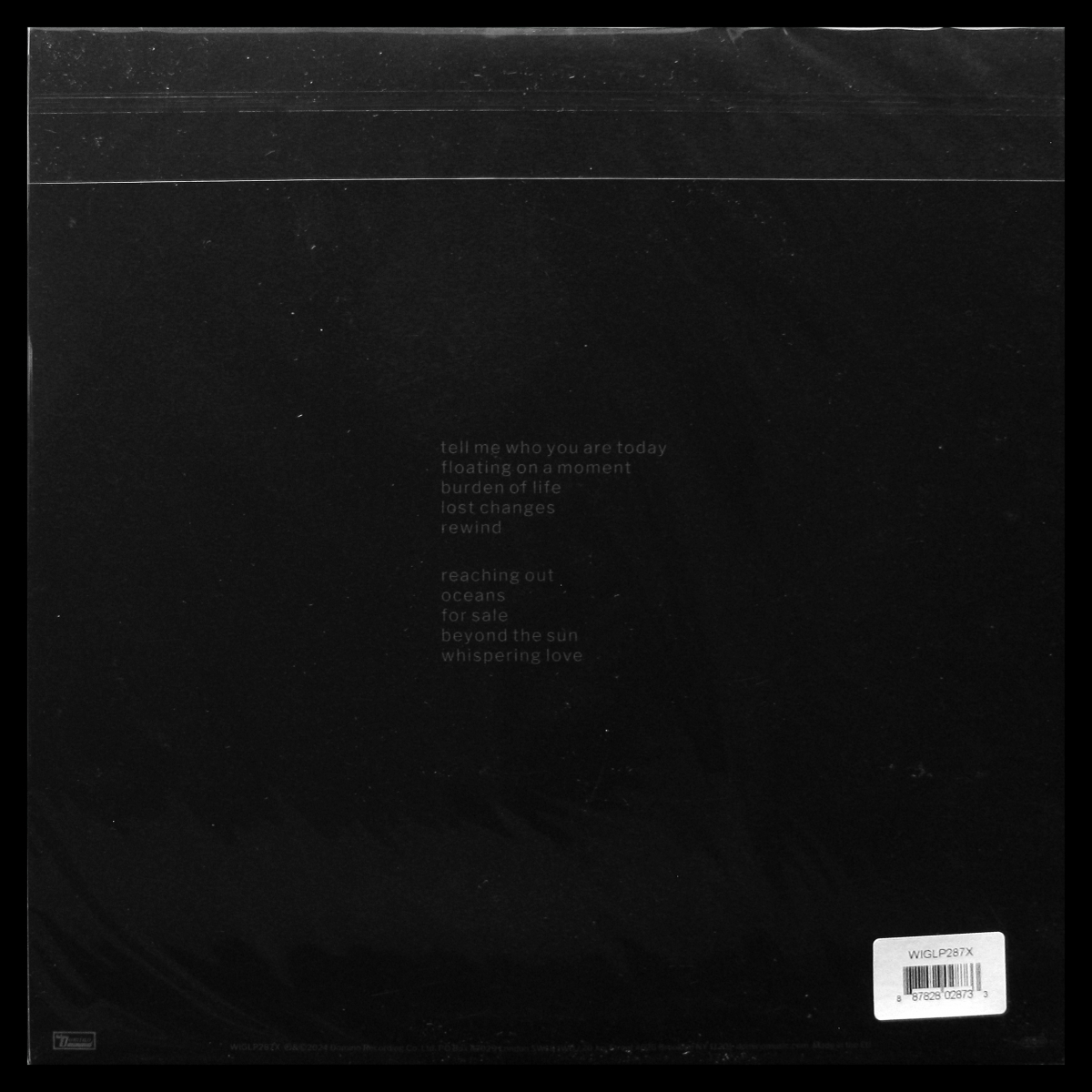 LP Beth Gibbons — Lives Outgrown (+ буклет) фото 2