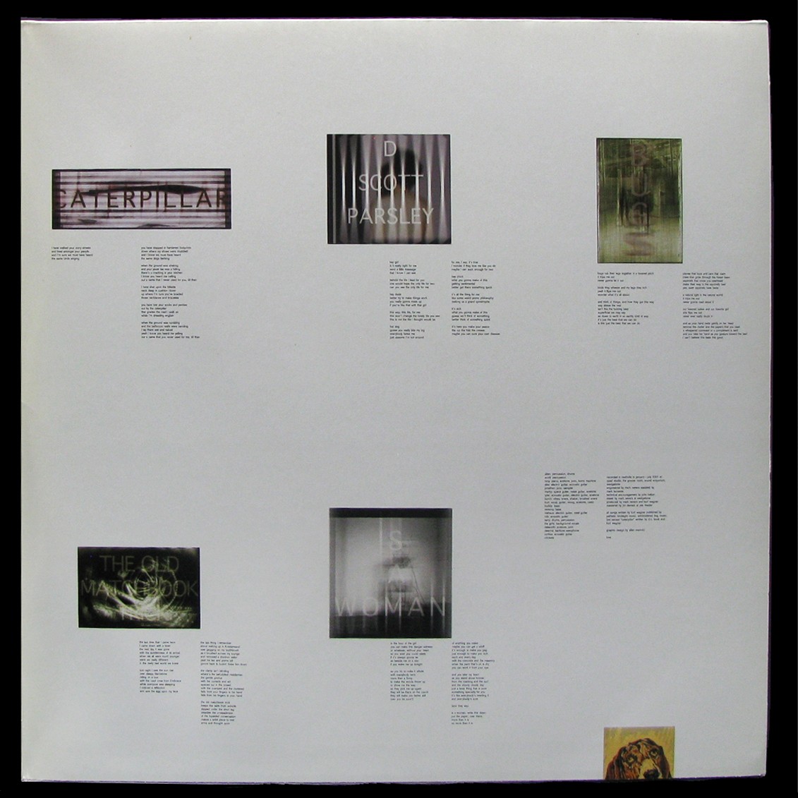 LP Lambchop — Is A Woman (2LP) фото 3