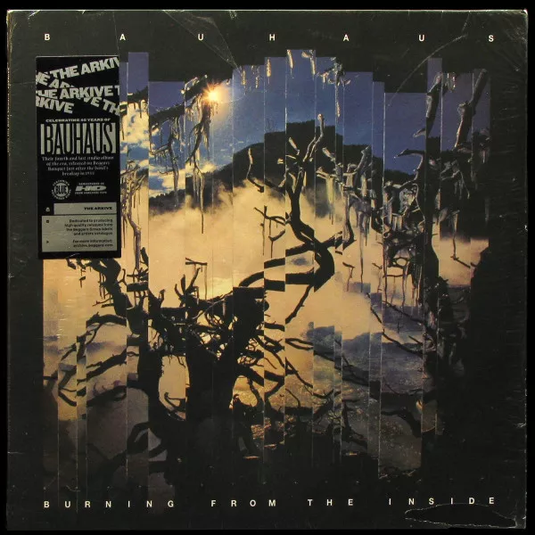 Burning From The Inside