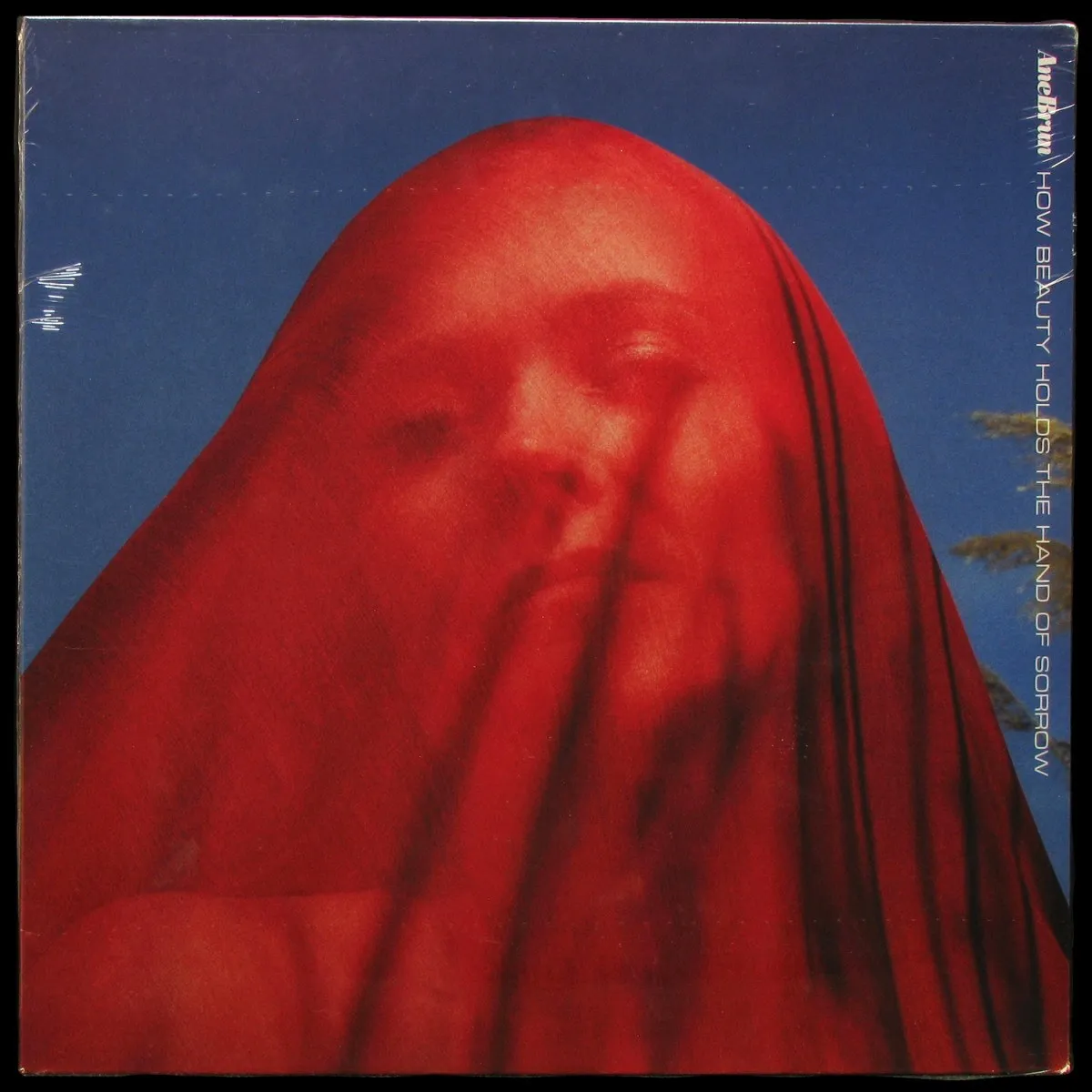 LP Ane Brun — How Beauty Holds The Hand Of Sorrow (цветной винил) фото