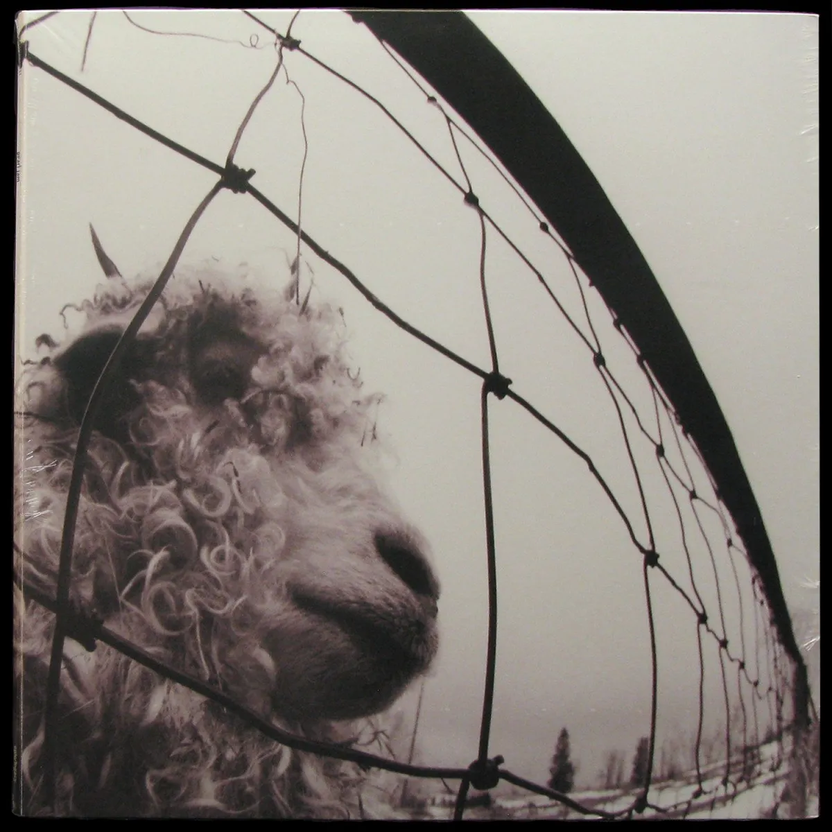 LP Pearl Jam — Vs фото