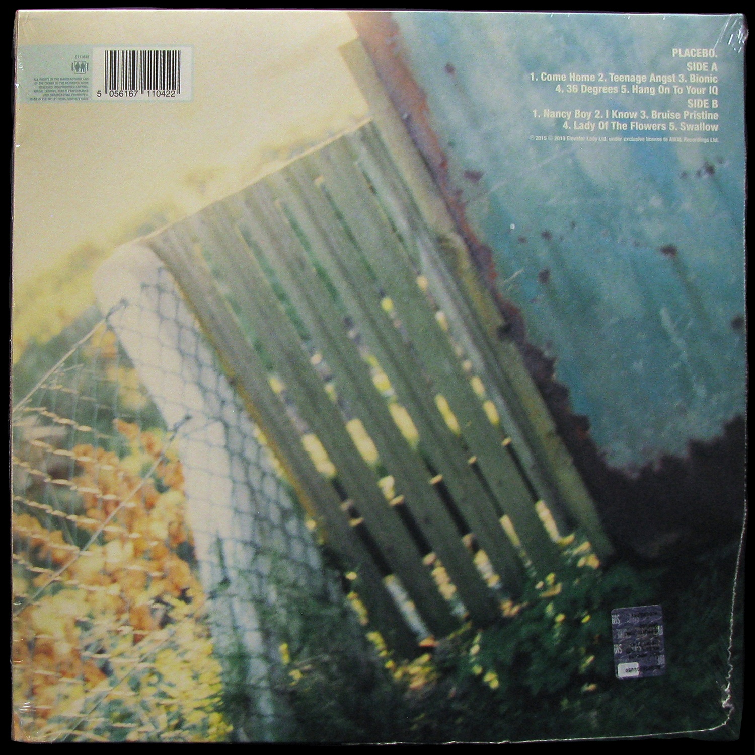 LP Placebo — Placebo фото 2