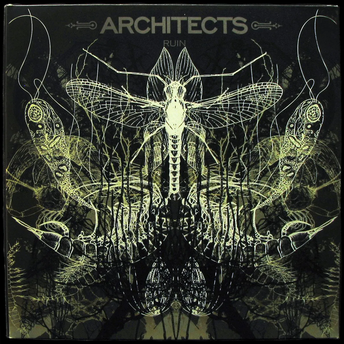 LP Architects — Ruin фото