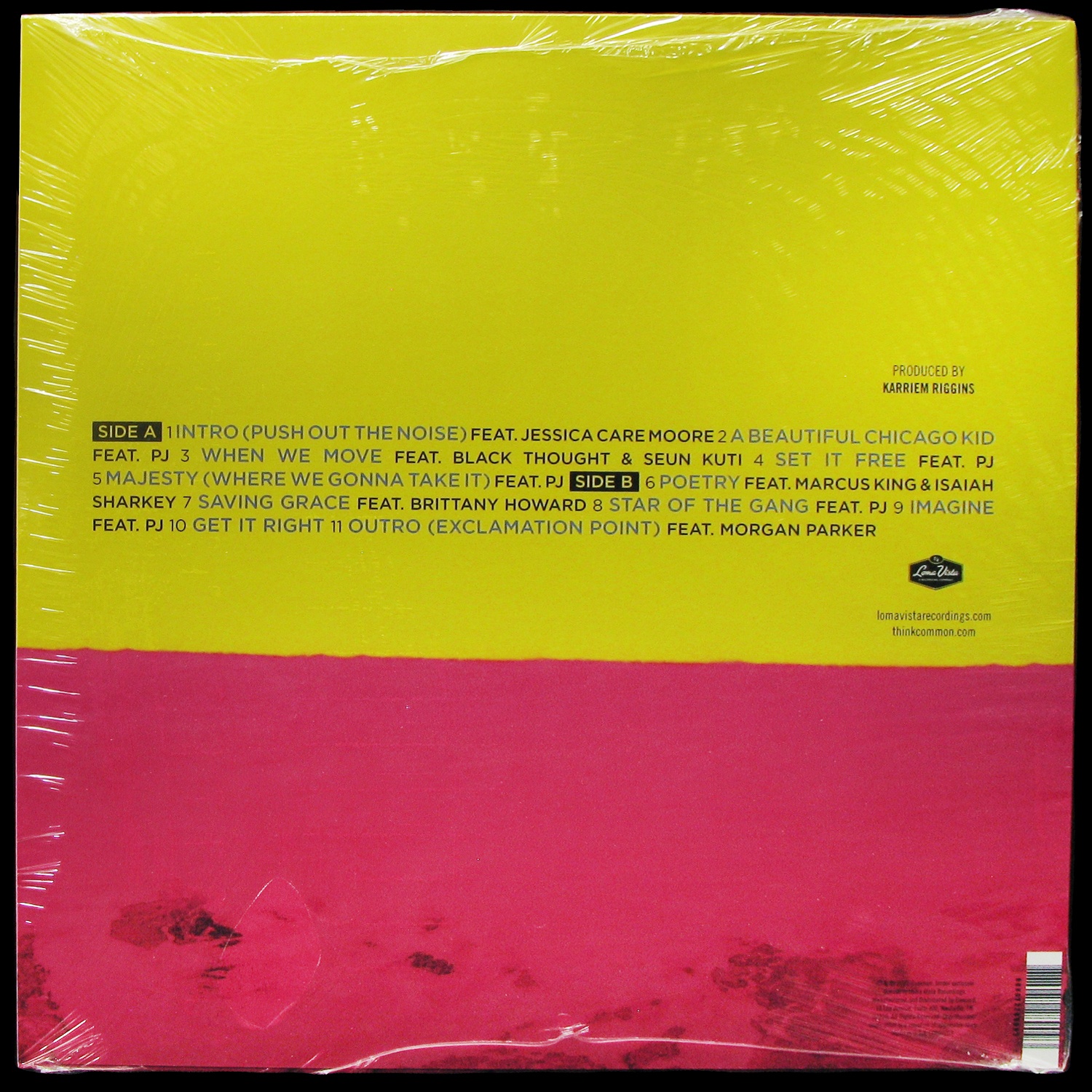 LP Common — A Beautiful Revolution Pt 2 (цветной винил) фото 2