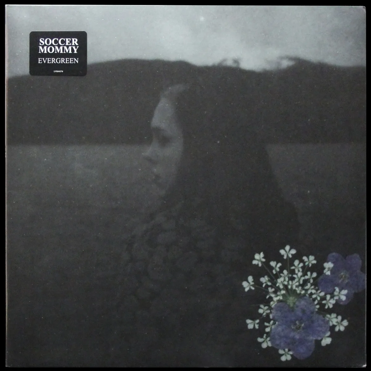 LP Soccer Mommy — Evergreen фото