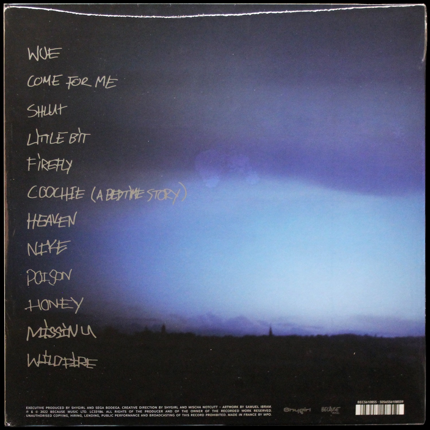 LP Shygirl — Nymph (цветной винил) фото 2