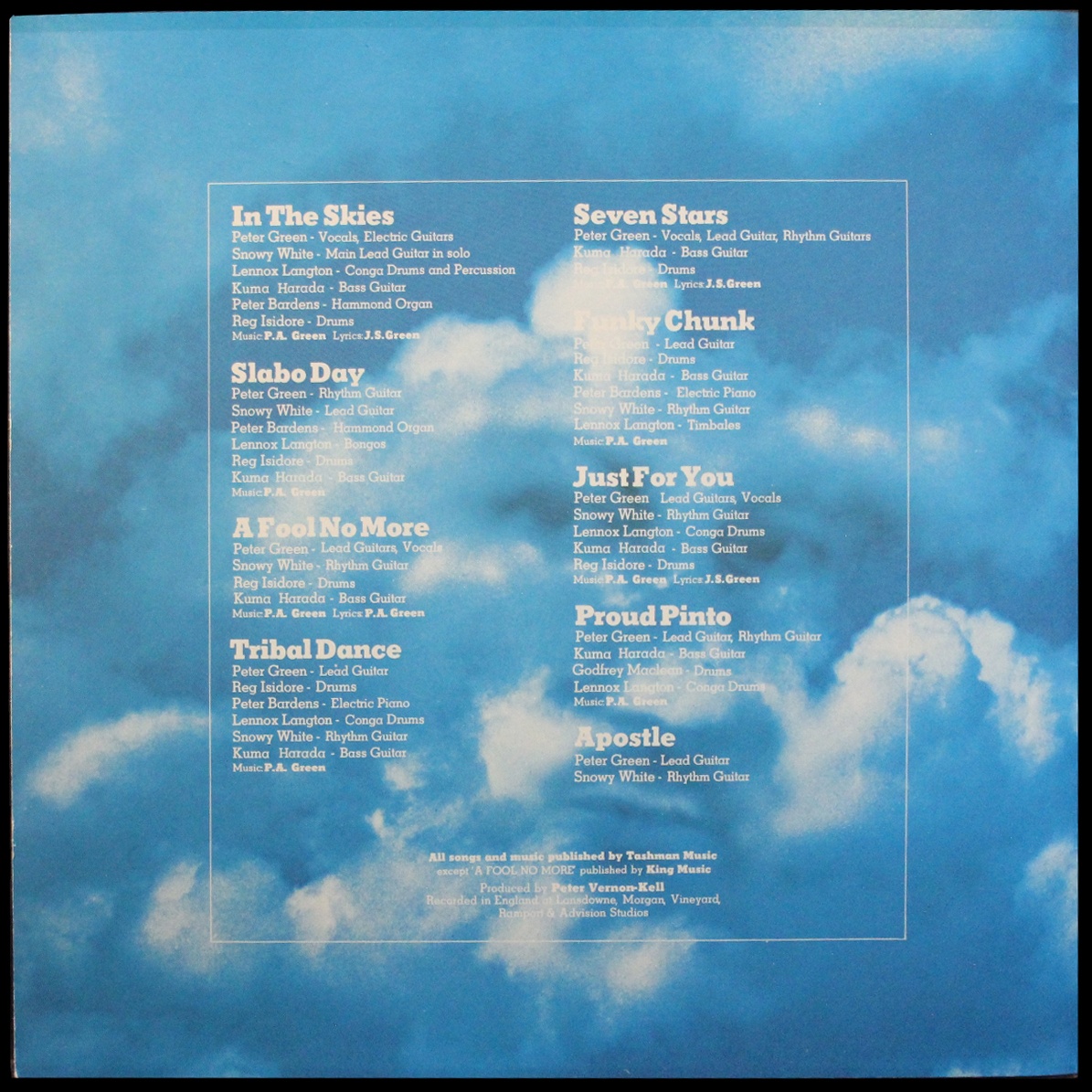 LP Peter Green — In The Skies (цветной винил) фото 6