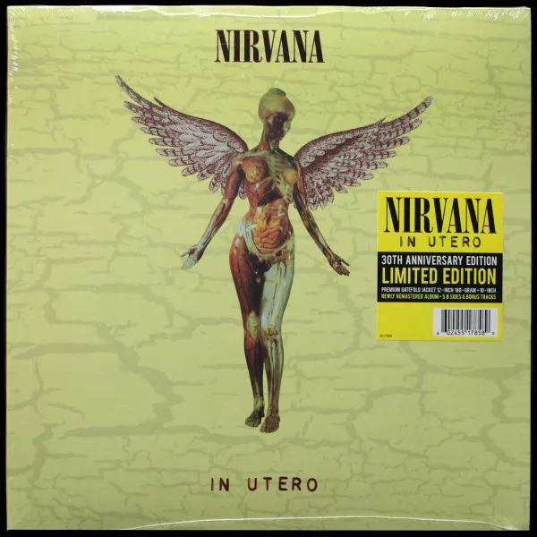 In Utero