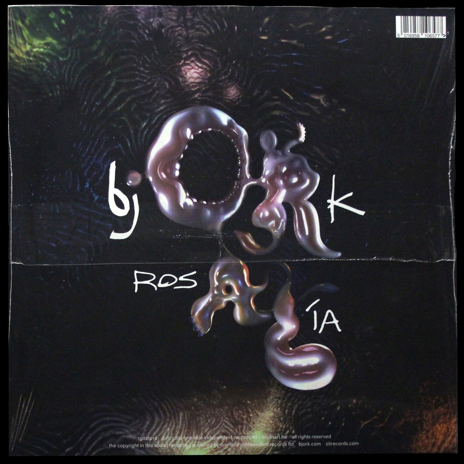 LP Bjork — Oral (макси сингл,  цветной винил) фото 2