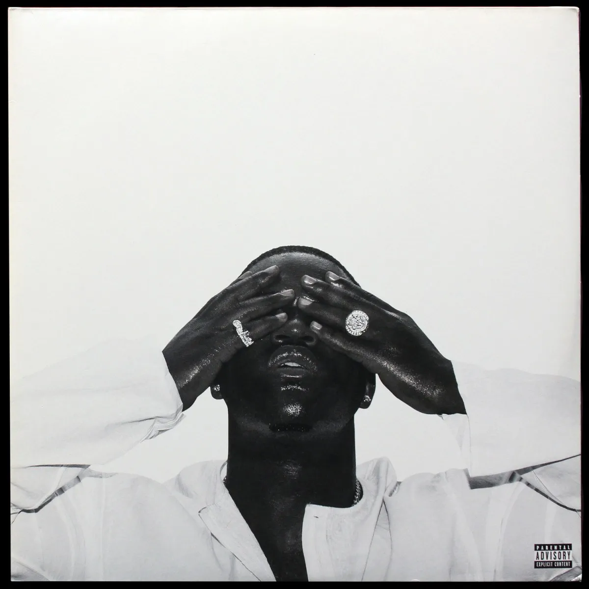 LP Asap Ferg  — Always Strive And Prosper (2LP,  цветной винил) фото