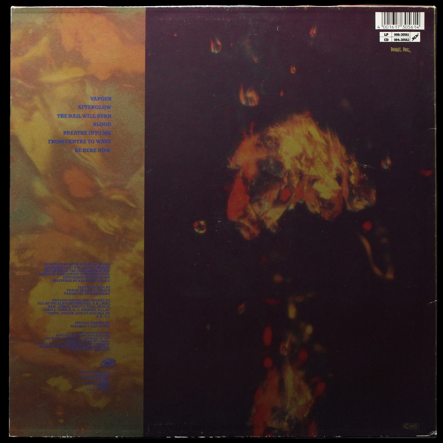 LP Loop — A Gilded Eternity фото 2