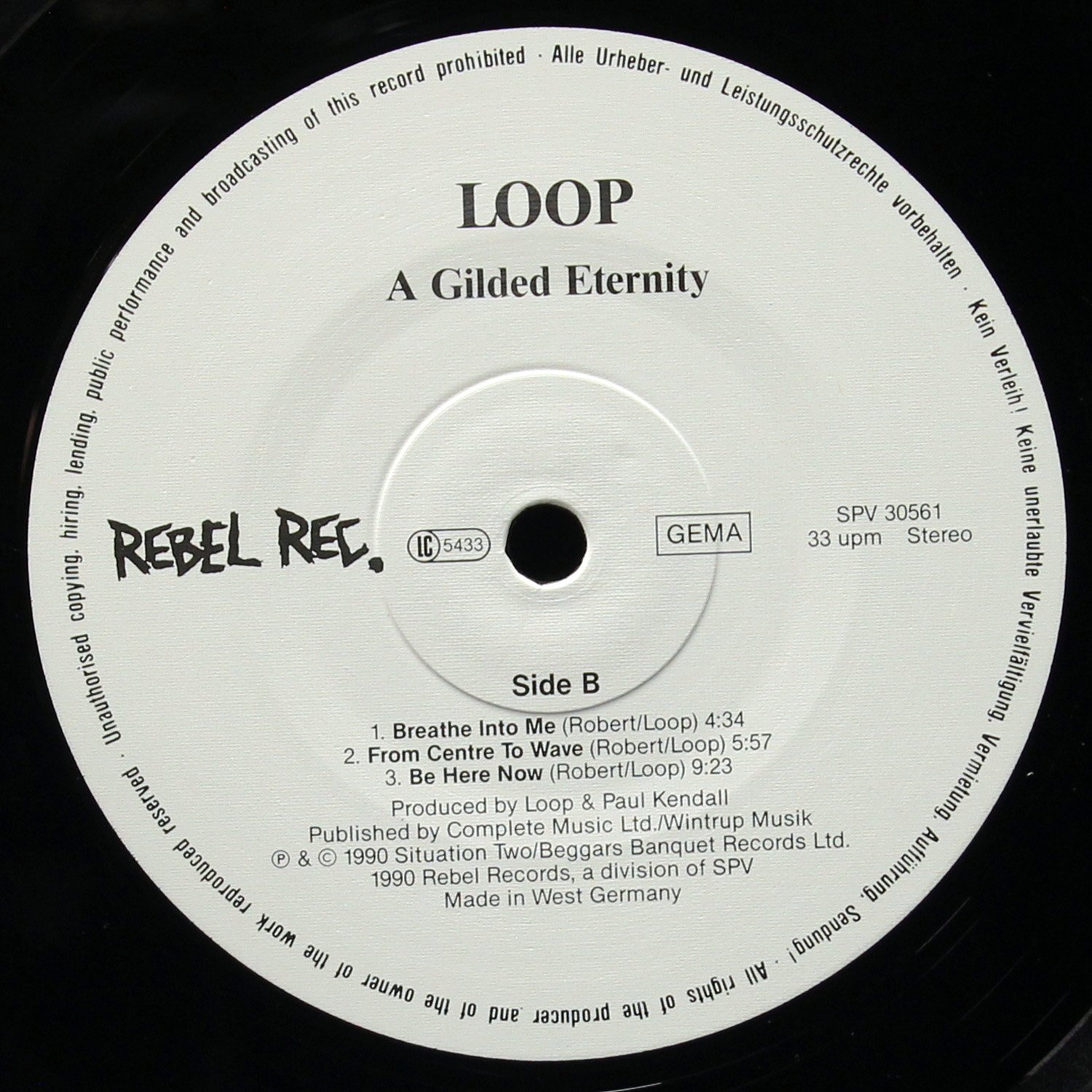 LP Loop — A Gilded Eternity фото 4