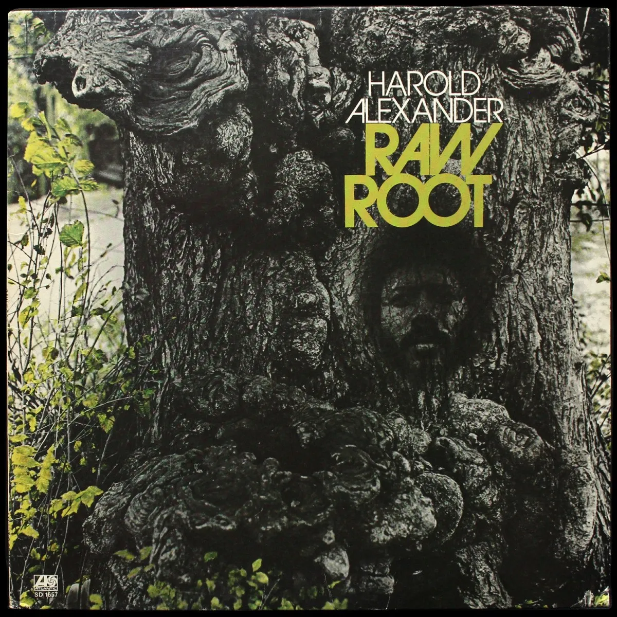 LP Harold Alexander — Raw Root фото