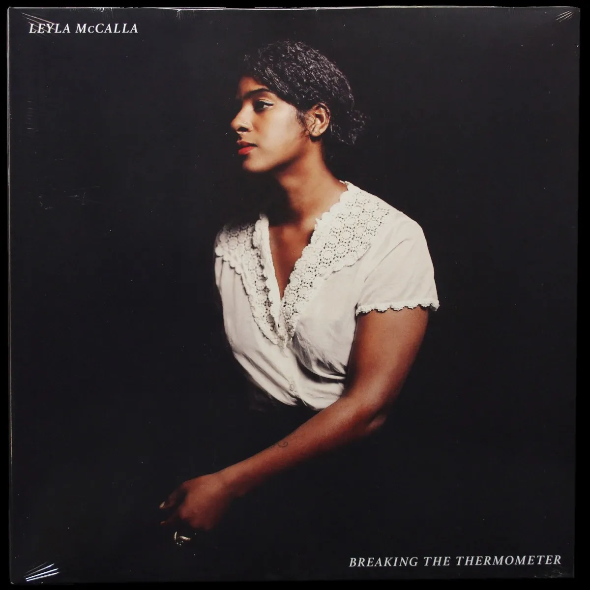 LP Leyla Mccalla — Breaking The Thermometer фото