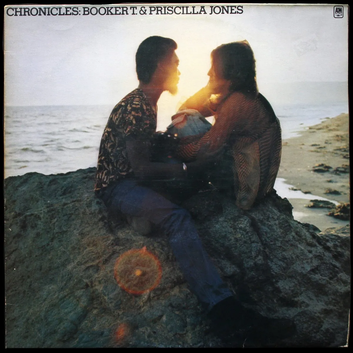 LP Booker T. Jones — Chronicles фото