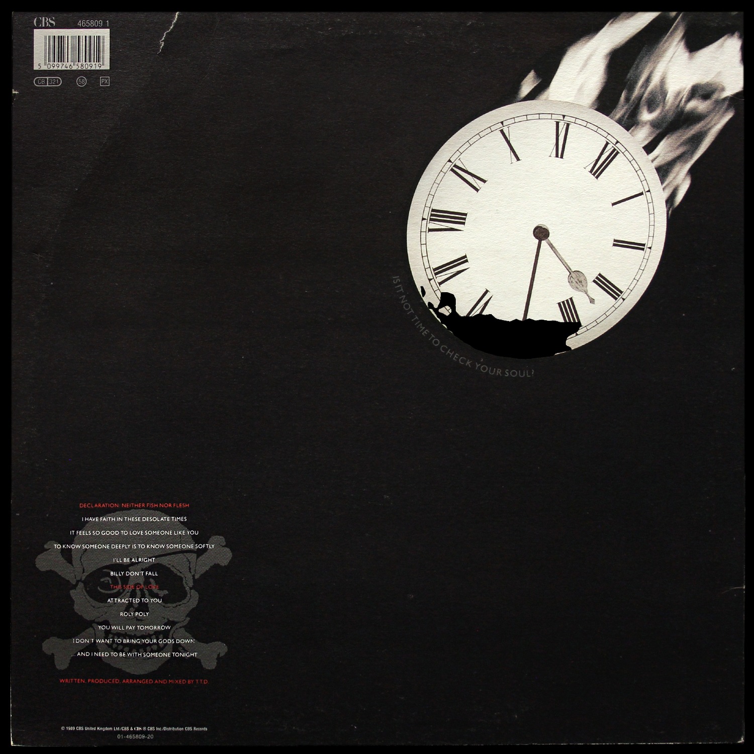 LP Terence Trent D' Arby — Terence Trent D' Arby's Neither Fish Nor Flesh фото 2