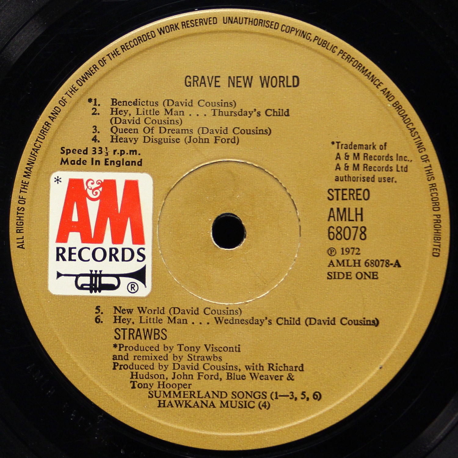 LP Strawbs — Grave New World (+ буклет,  цветной винил) фото 3