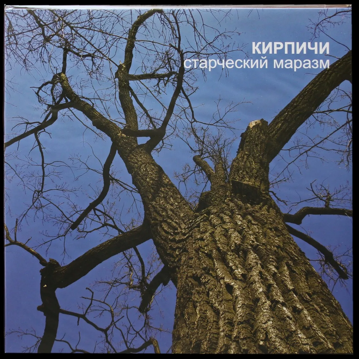 LP Кирпичи — Старческий маразм фото