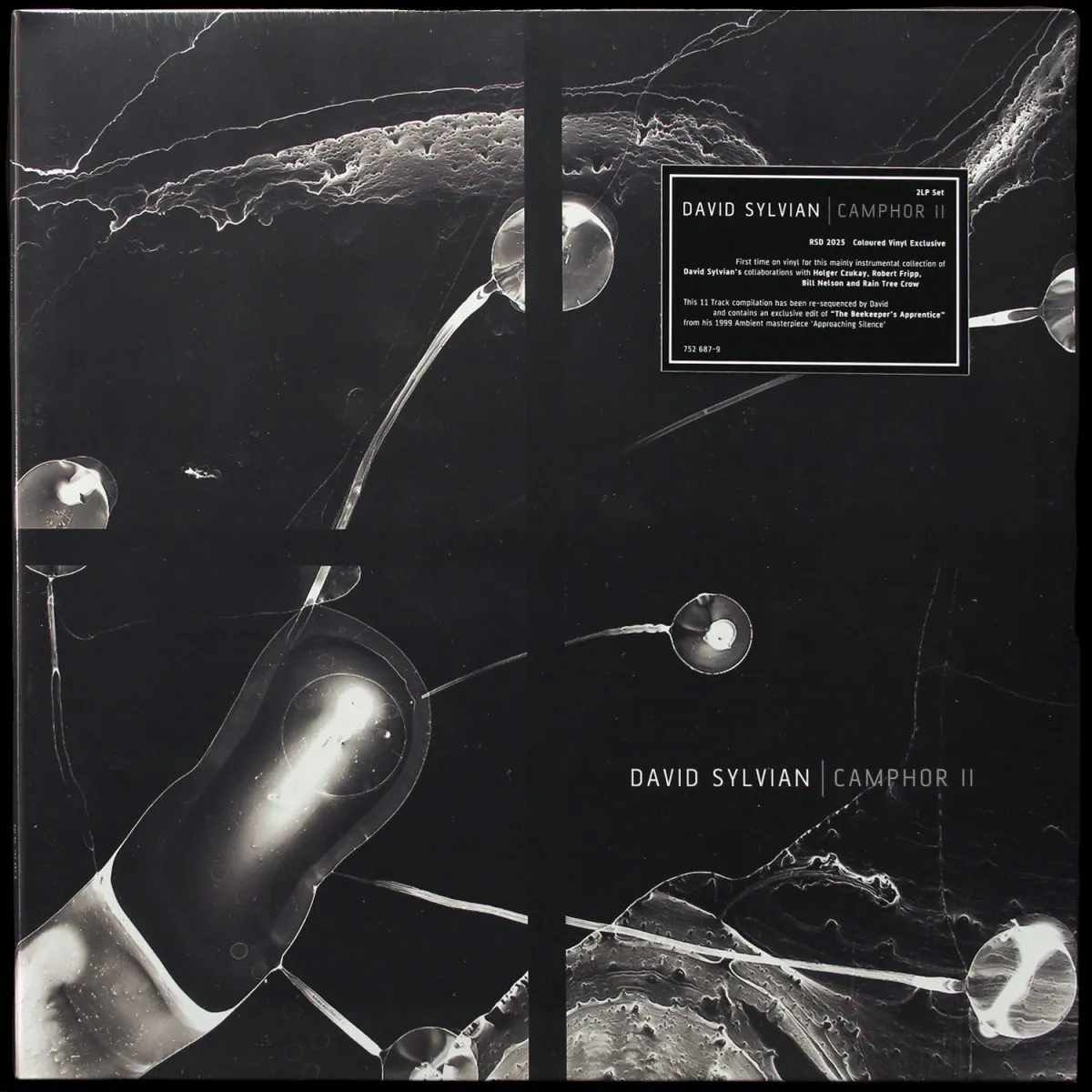 LP David Sylvian — Camphor II (2LP,  цветной винил) фото