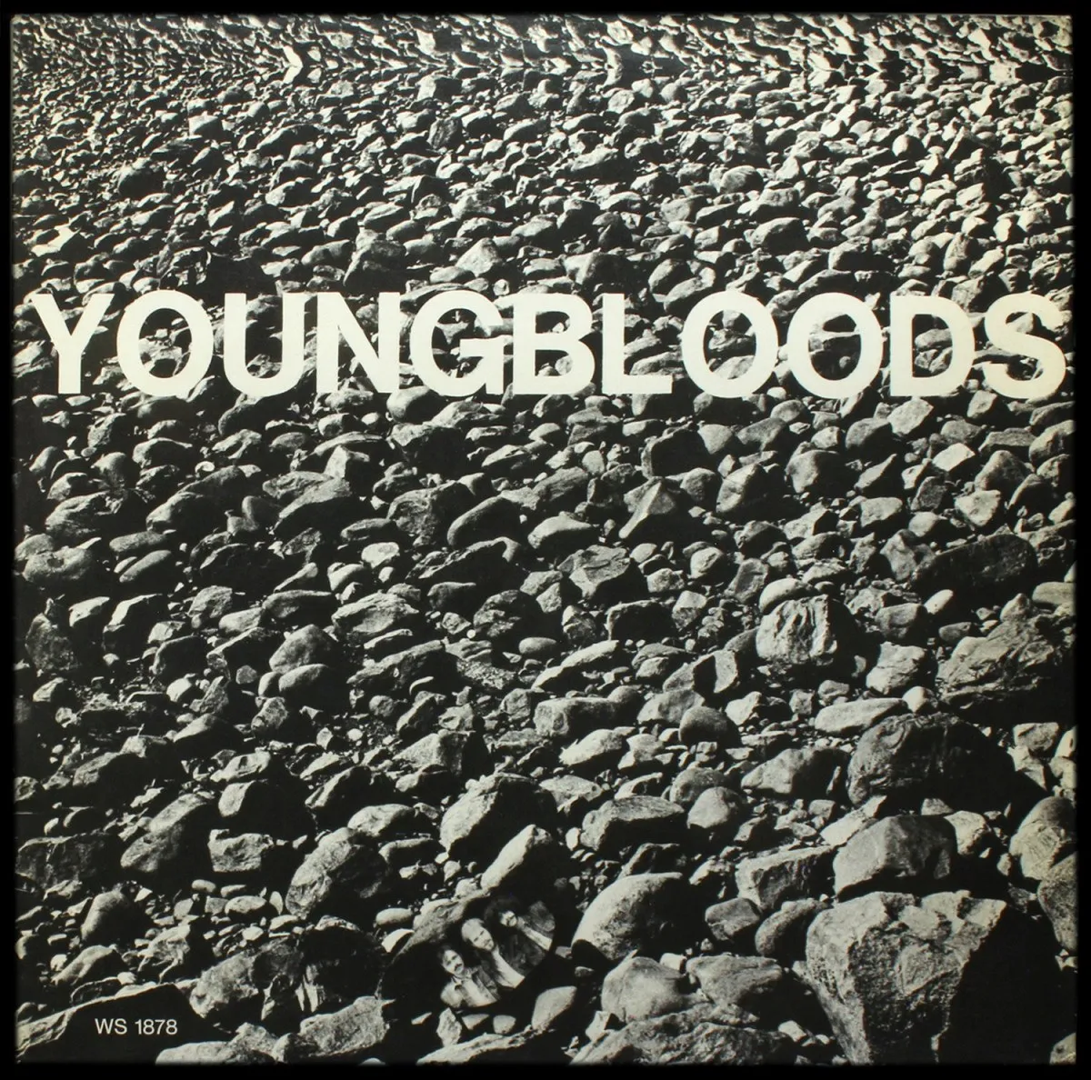 LP YoungBloods — Rock Festival фото
