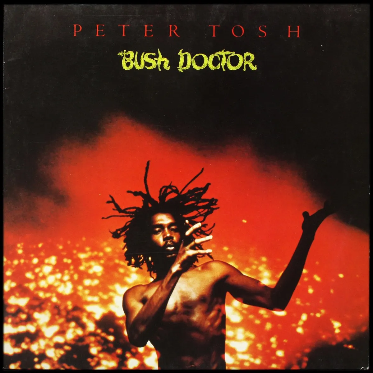 LP Peter Tosh — Bush Doctor фото