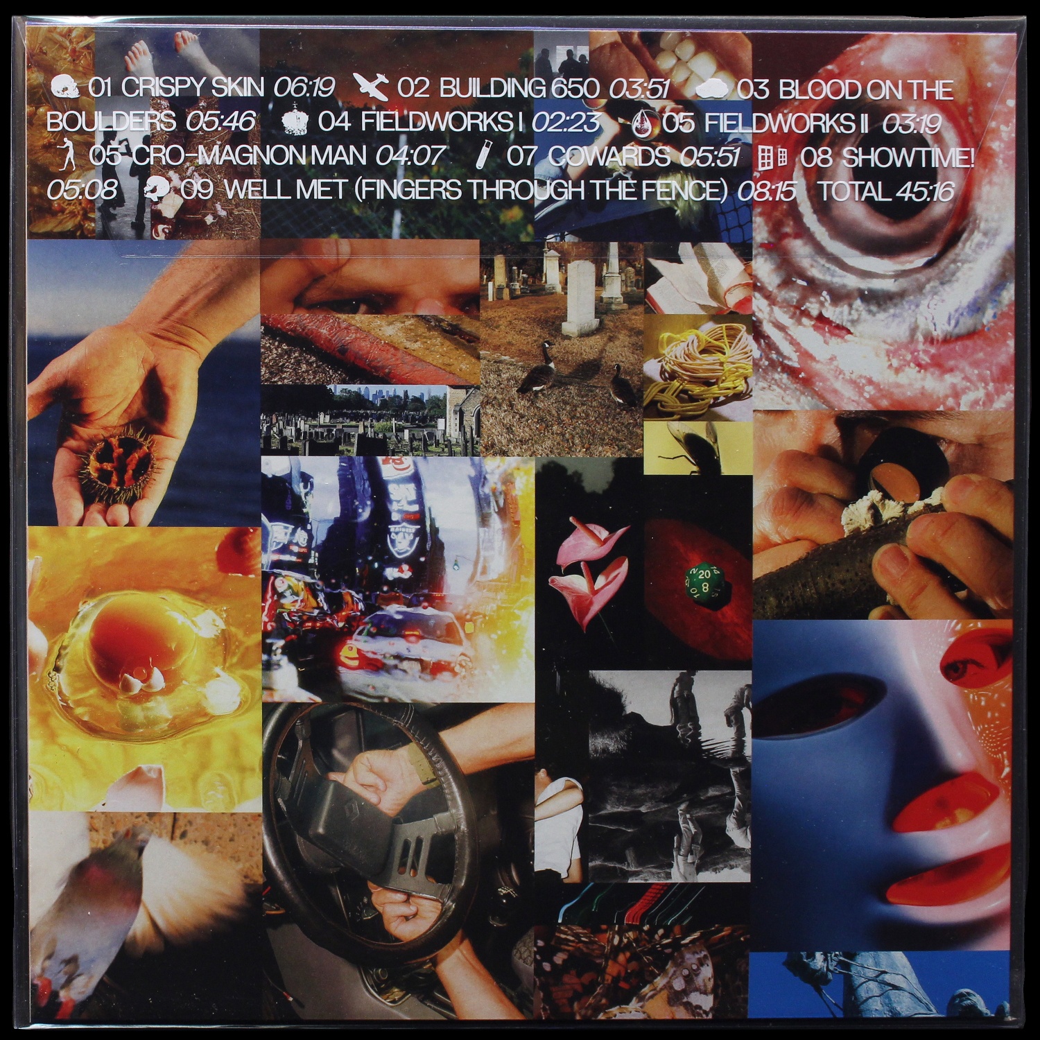 LP Squid — Cowards фото 2