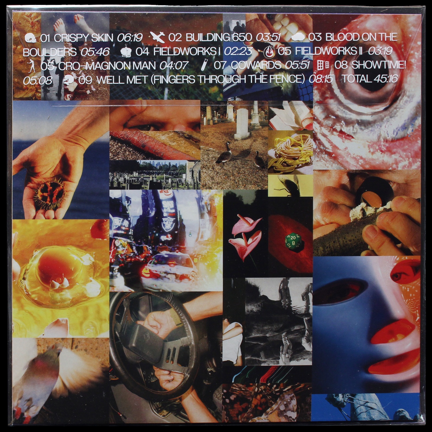 LP Squid — Cowards (цветной винил) фото 2