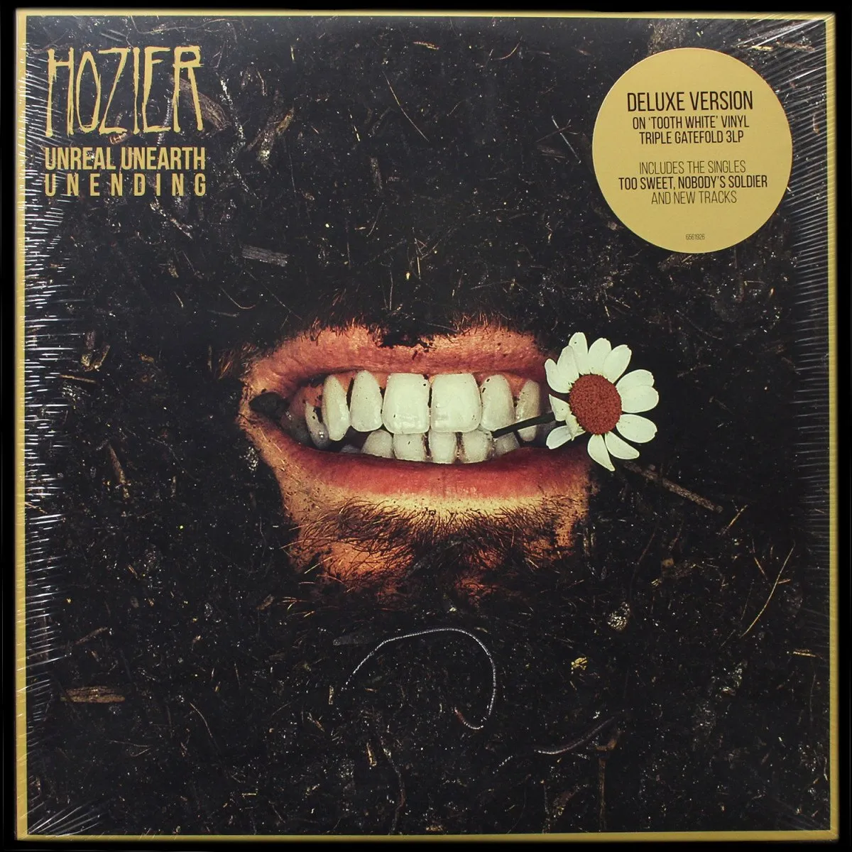 LP Hozier — Unreal Unearth Unending (3LP,  цветной винил) фото