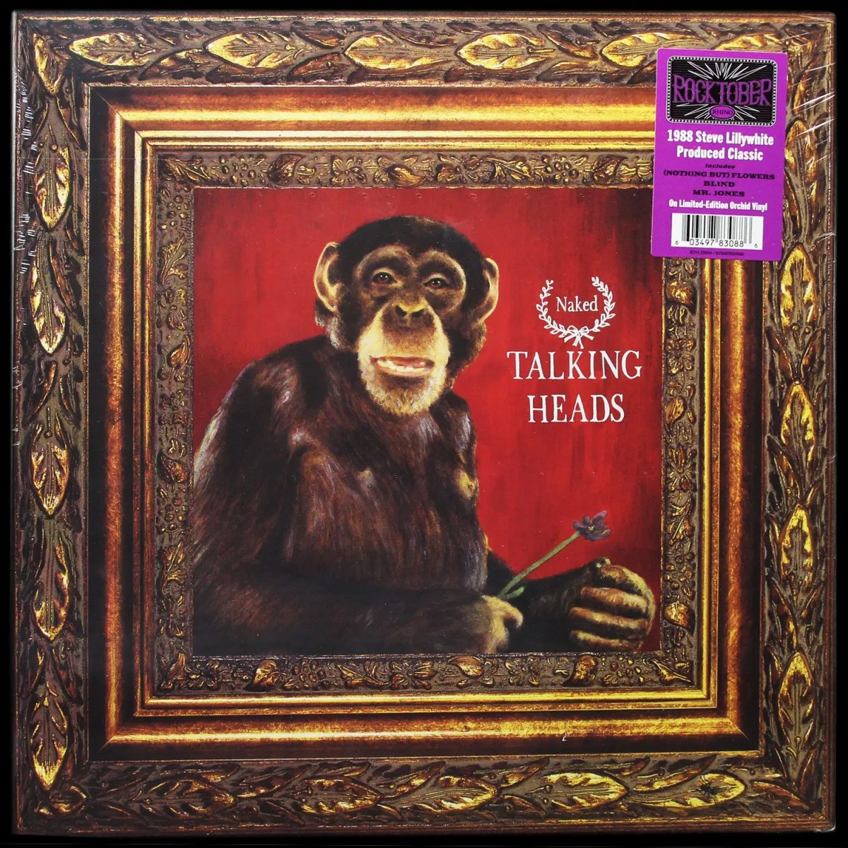 LP Talking Heads — Naked (цветной винил) фото