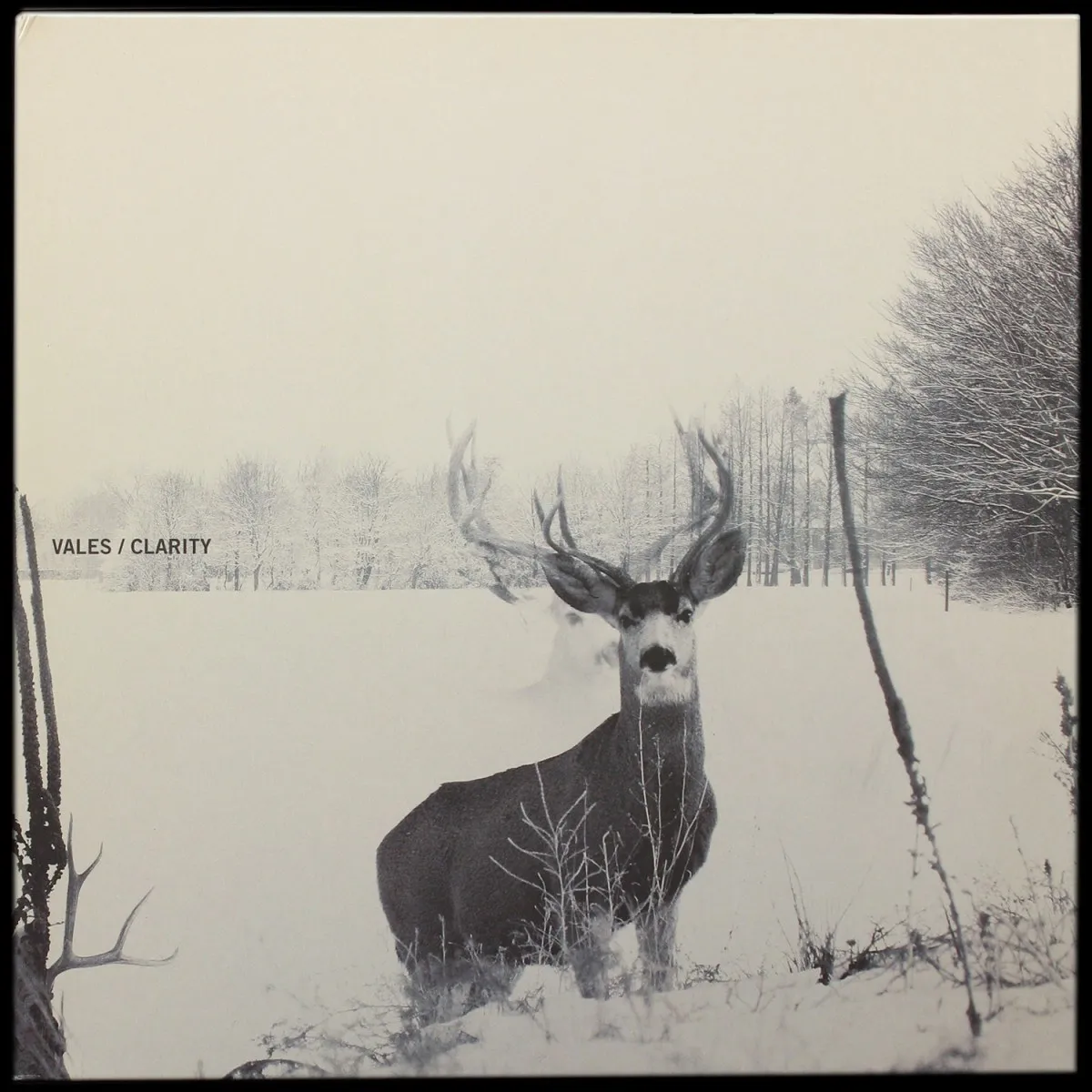 LP Vales — Clarity (цветной винил, EP (мини-альбом)) фото