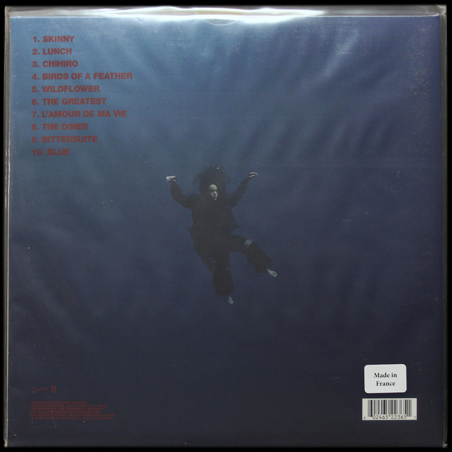 LP Billie Eilish — Hit Me Hard And Soft фото 2