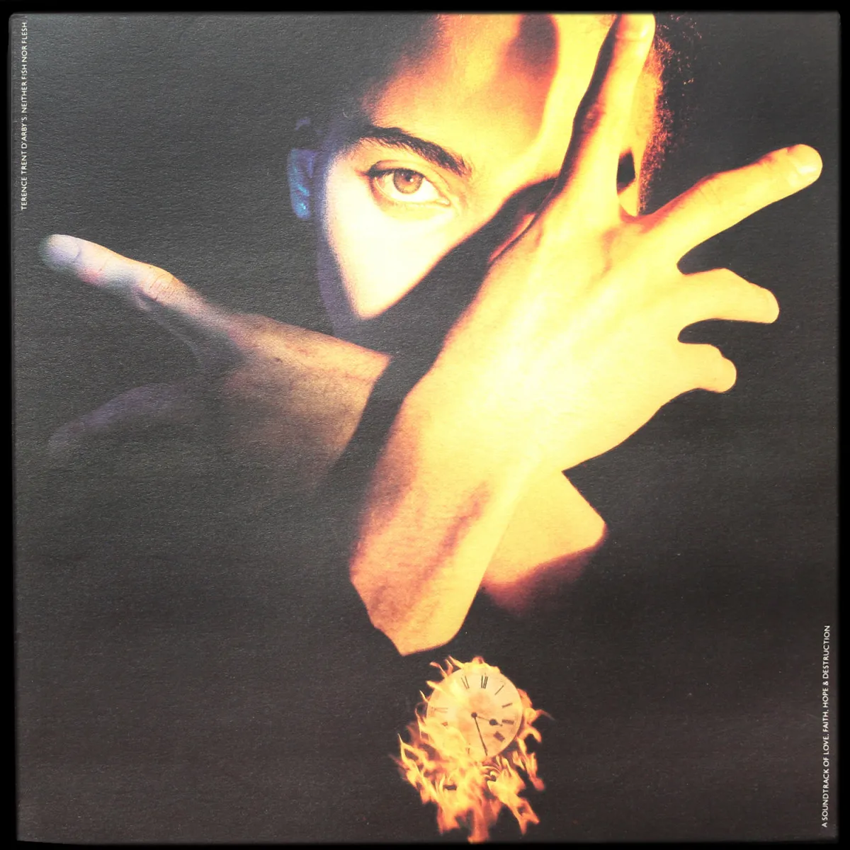 LP Terence Trent D' Arby — Terence Trent D'Arby's Neither Fish Nor Flesh фото