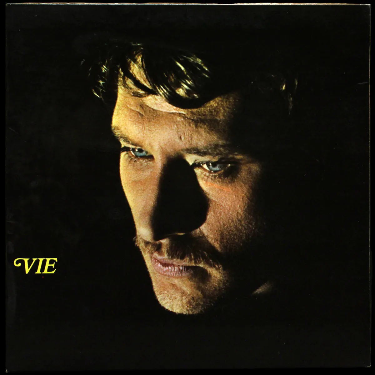 LP Johnny Hallyday — Vie фото