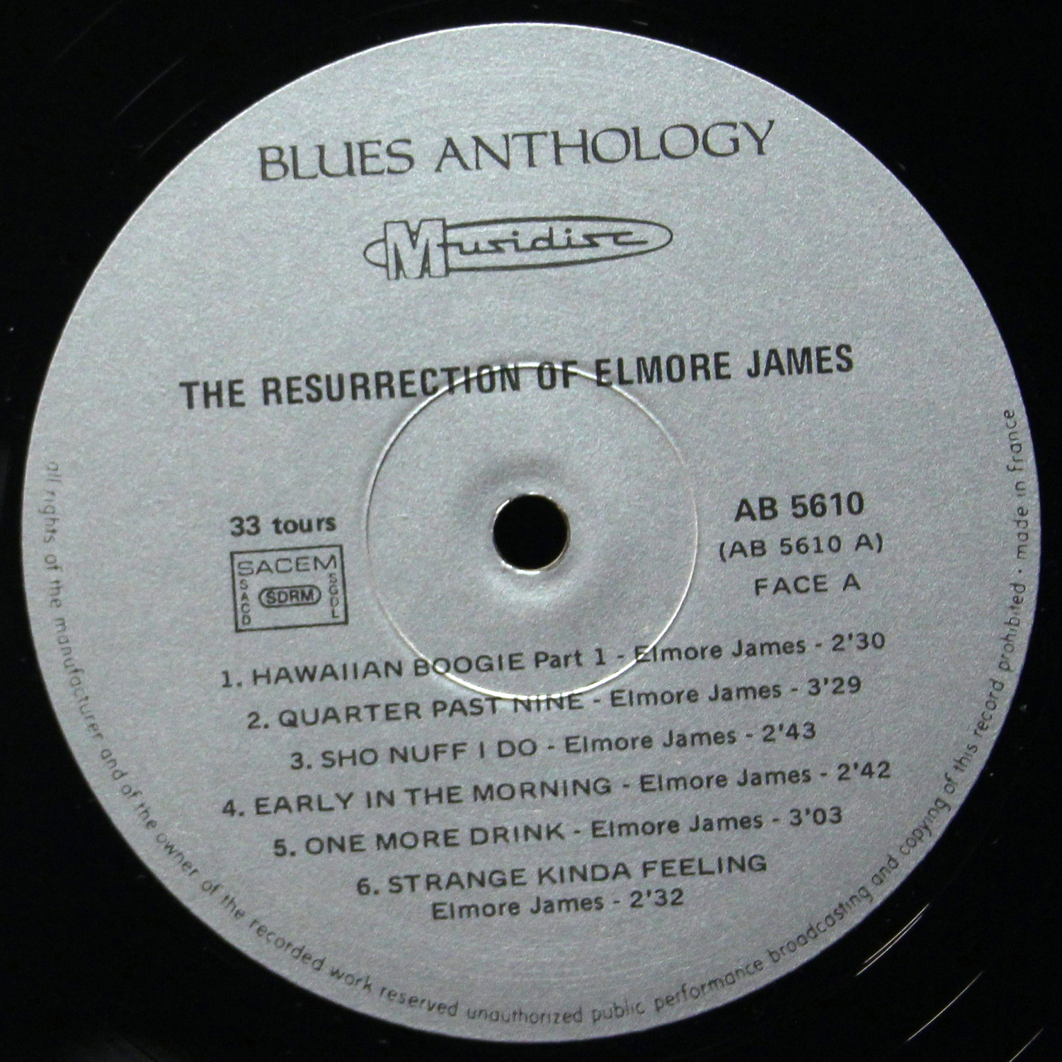 LP Elmore James — Resurrection Of Elmore James фото 2
