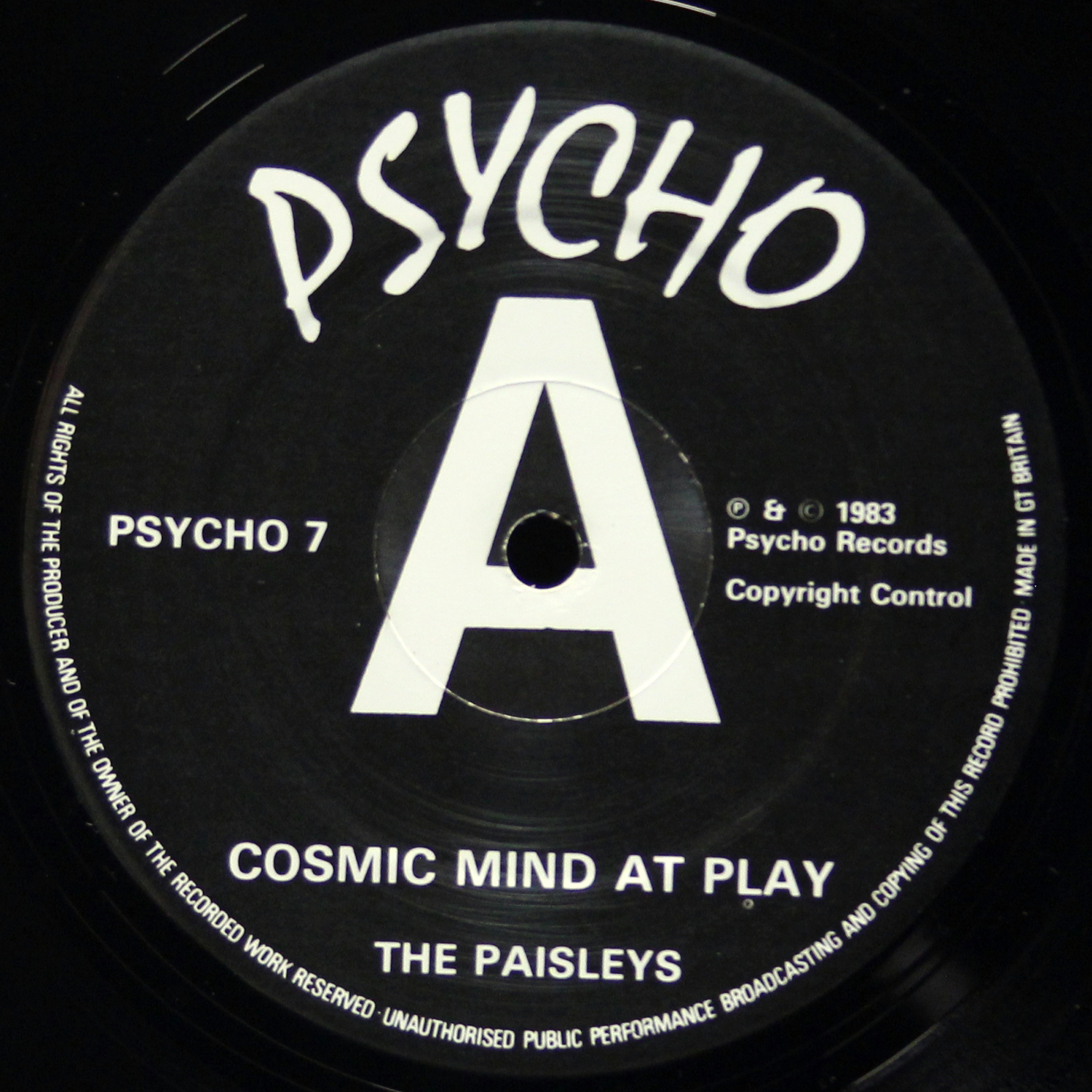 LP Paisleys — Cosmic Mind At Play фото 3