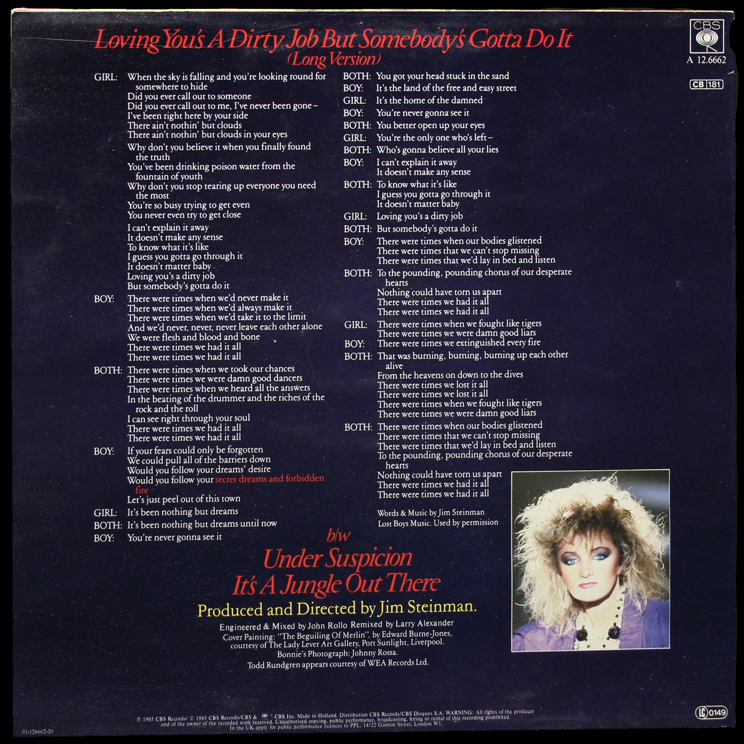 LP Bonnie Tyler — Loving You's A Dirty Job But Somebody's Gotta Do It (макси сингл) фото 2