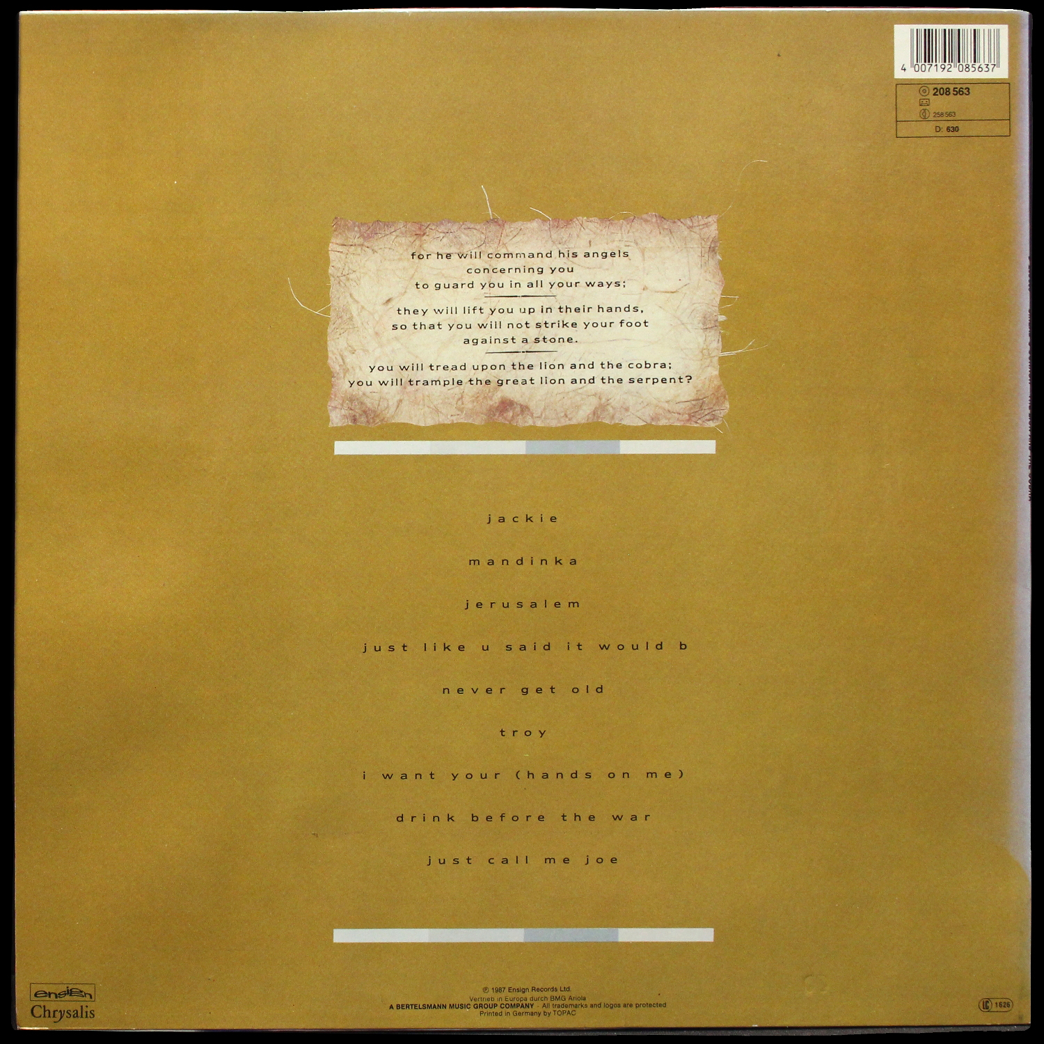 LP Sinead O'Connor — Lion And The Cobra фото 2