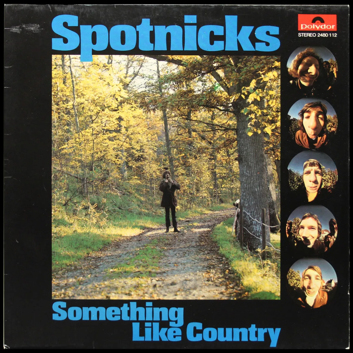 LP Spotnicks — Something Like Country фото